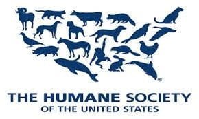 Spearheading a Revolution in Animal Welfare